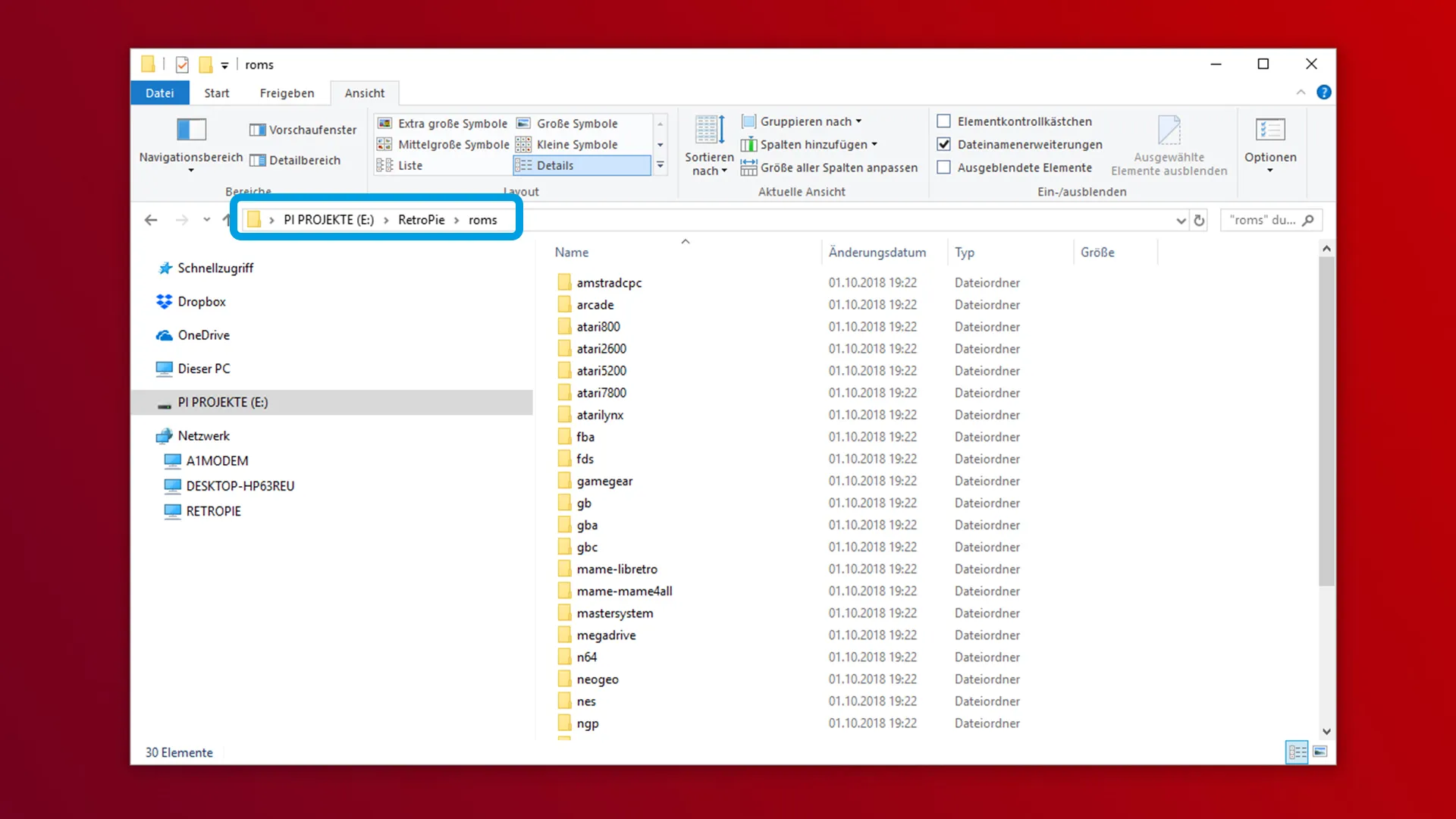 RetroPie Ordnerstruktur auf USB-Stick nach erstem Einstecken