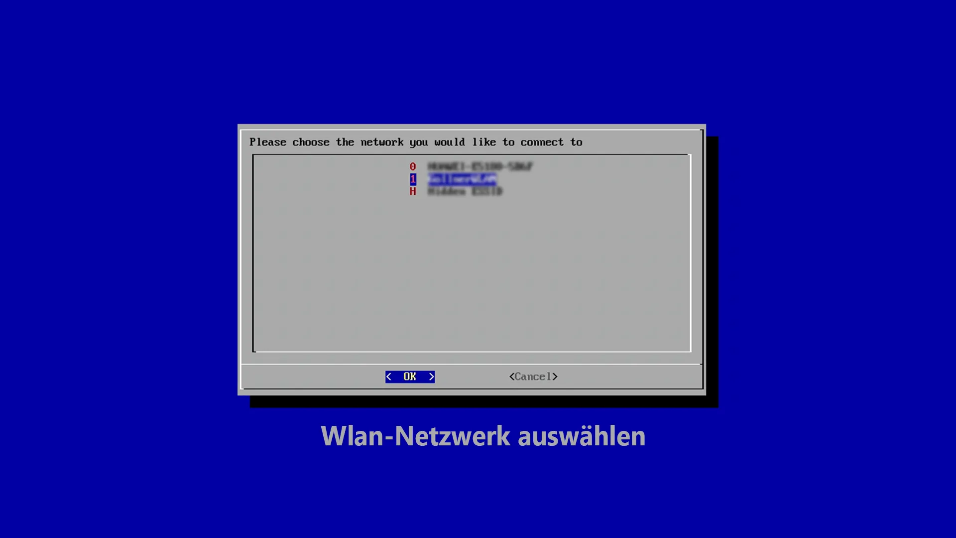 WLAN-Netzwerk für RetroPie auswählen