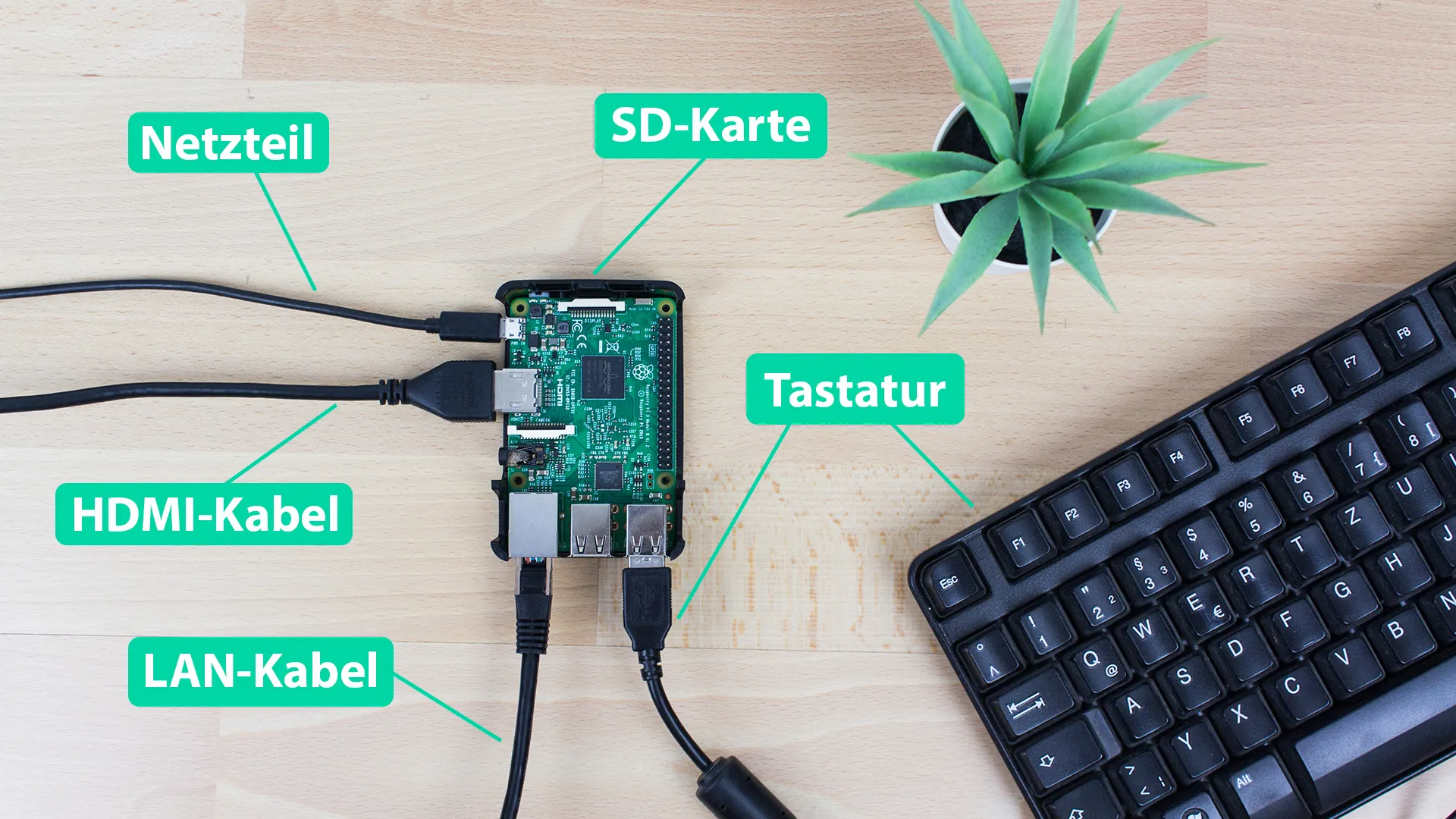 Raspberry Pi mit LAN-Kabel, Monitor und Tastatur verbinden