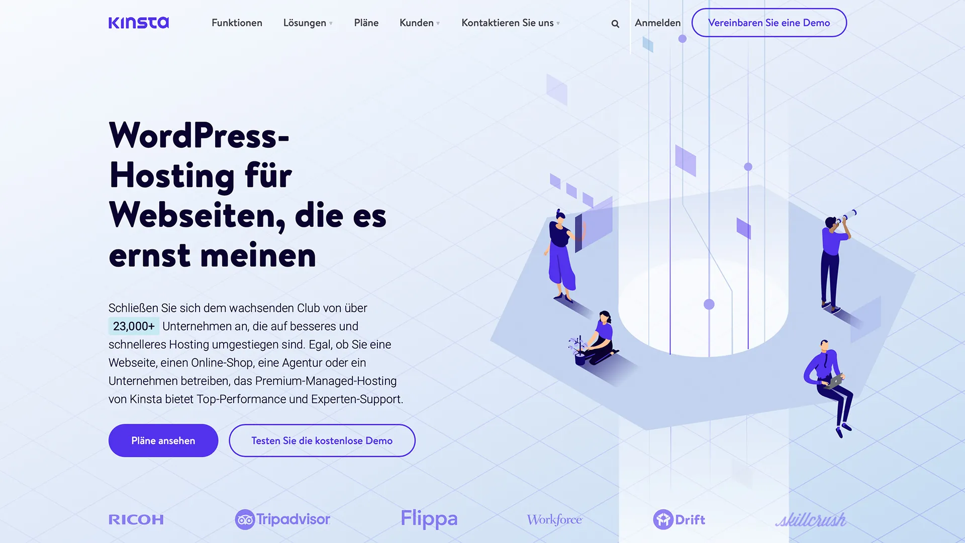 Kinsta Dashboard