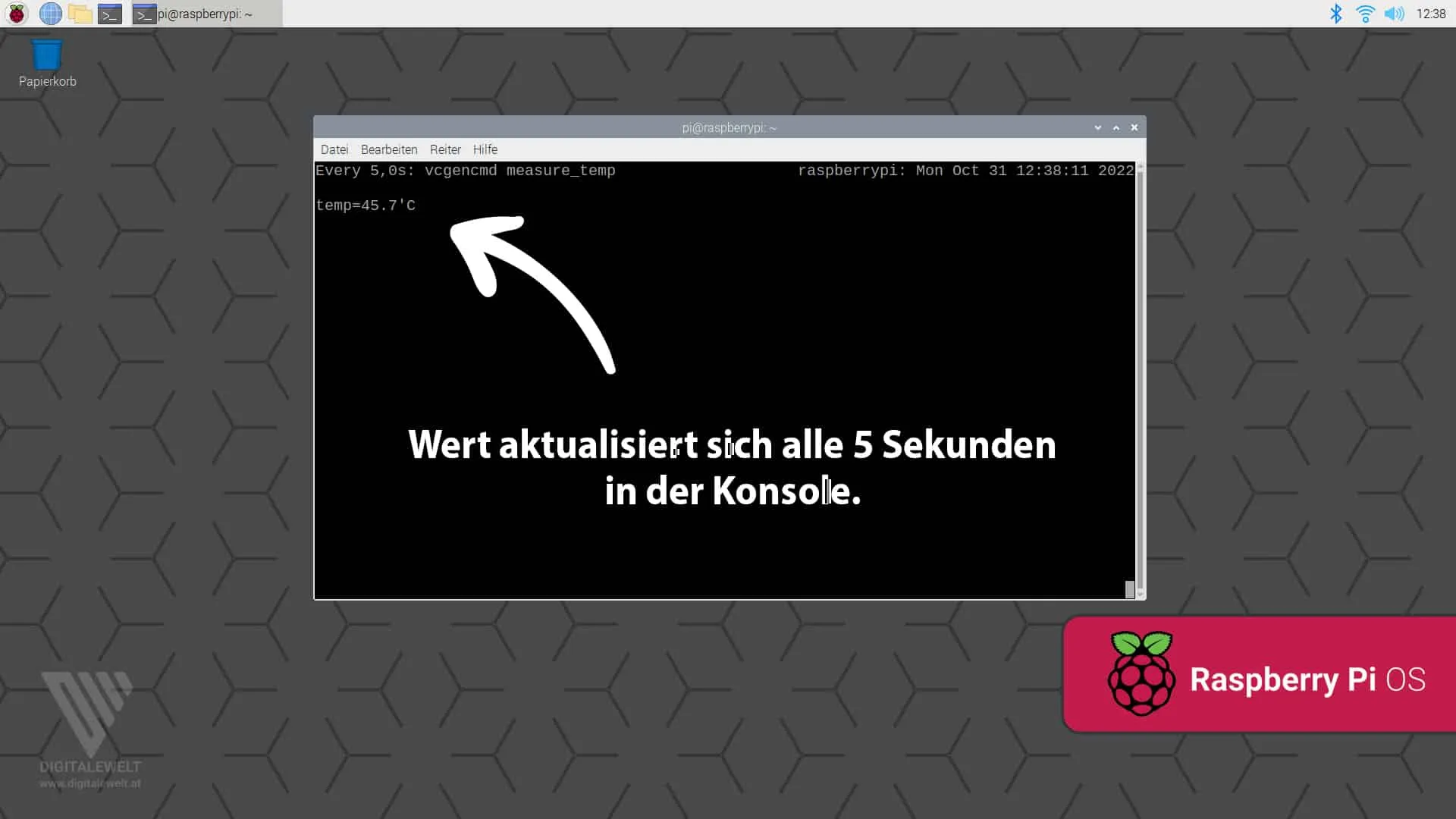 GPU-Temperatur alle 5 Sekunden aktualisieren